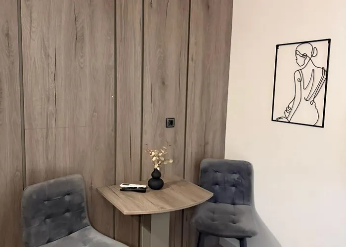 Casa Artee Free Parking Apartment Sarajevo